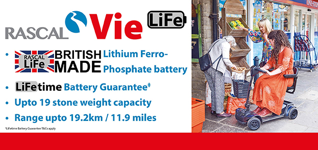 Vie LiFe - 10Ah Lithium Ferro-Phosphate battery